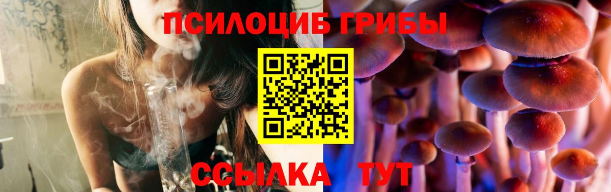 Галлюциногенные грибы Cubensis  Вход с VPN  Видное 